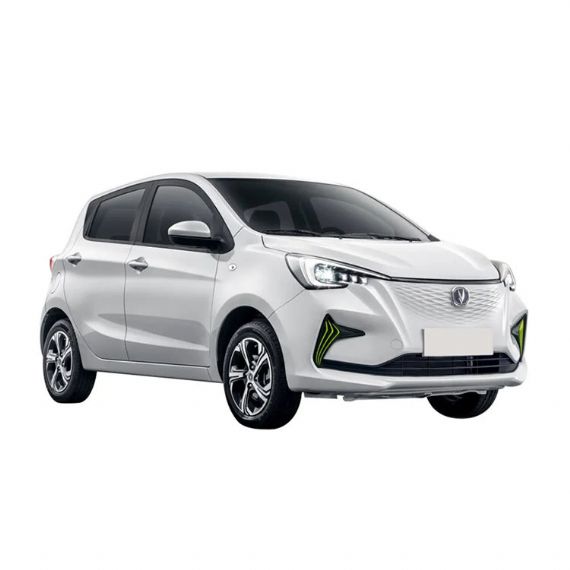 Changan Benben - CH00079